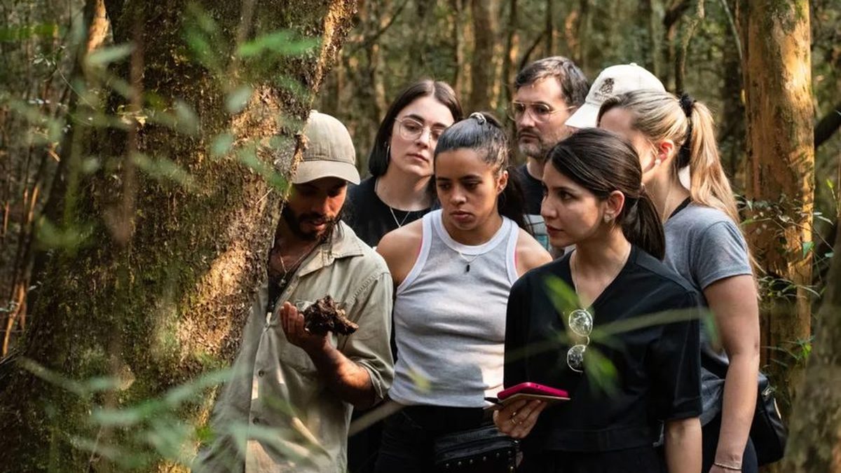 Guía mostrando un hongo a un grupo de visitantes en la selva misionera