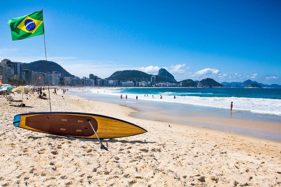Tablas de surf apoyadas junto a las palmeras en Florianópolis